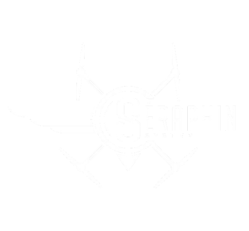 Logo Séraphin Système